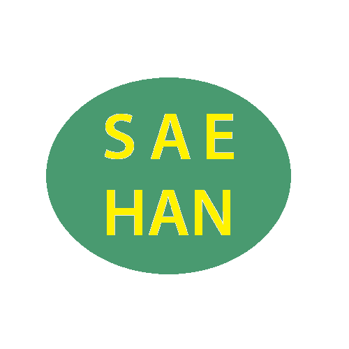 File:500px saehan logo 1stdraft.png
